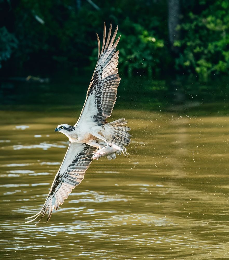 Photograph by Lisa Watkins