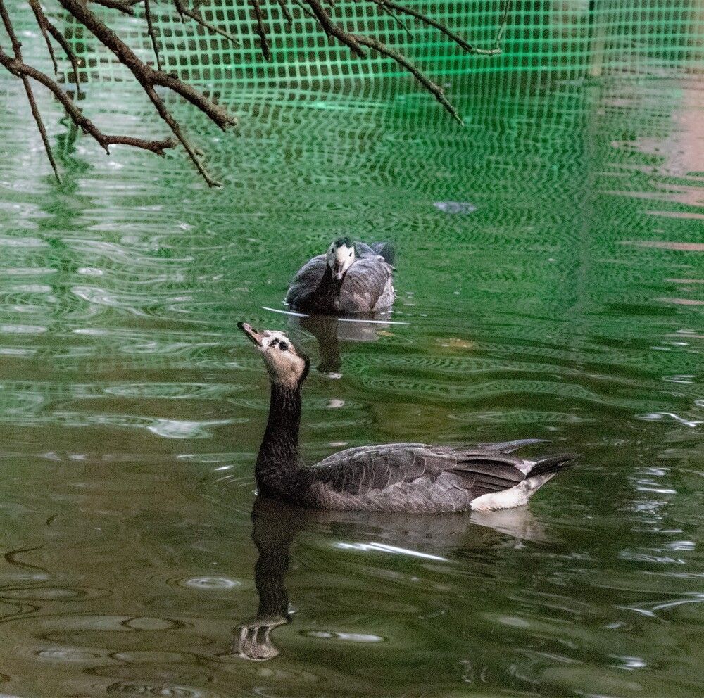 Photograph by Александр Порохов