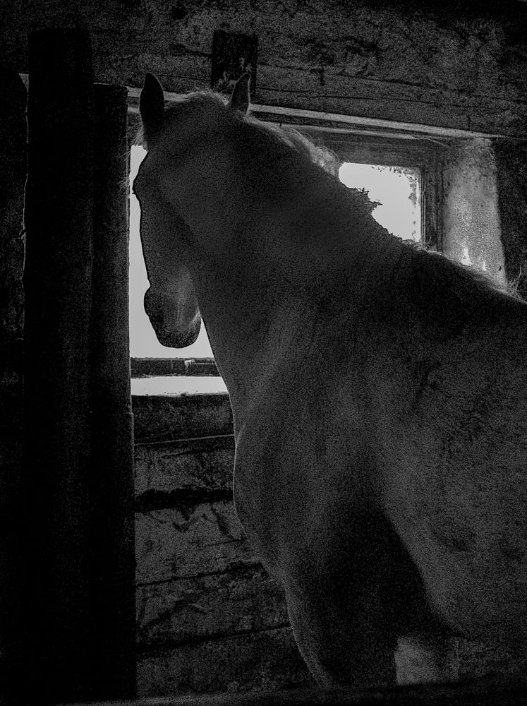 Photograph by Людмила Багинская