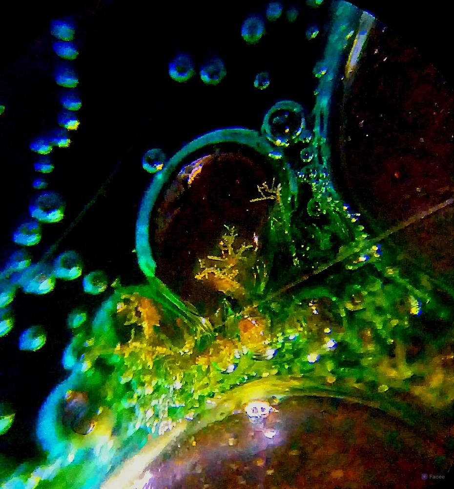 Photograph by Лидия Кашуро