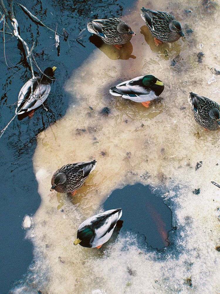 Photograph by Дарья Викторова