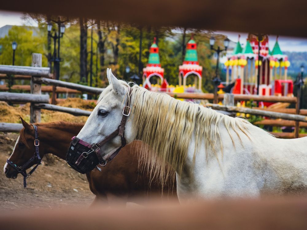 Фотография автора Катрин Евстратова