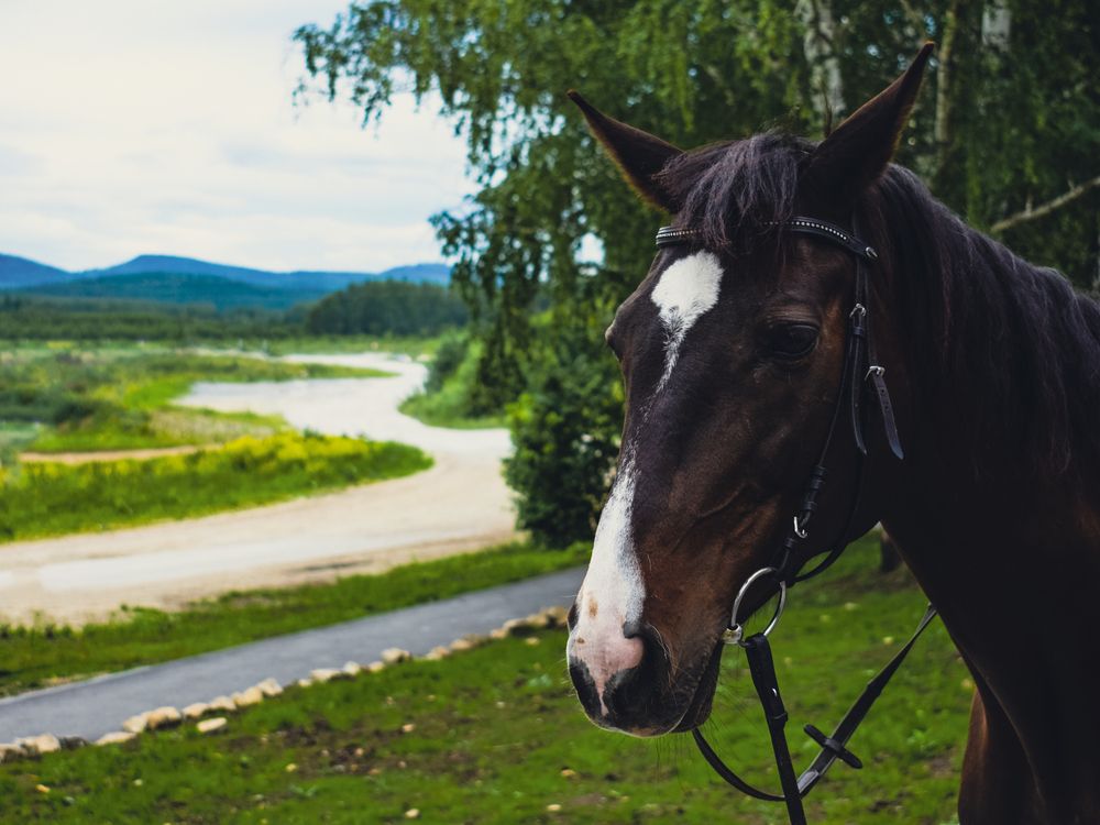 Фотография автора Катрин Евстратова