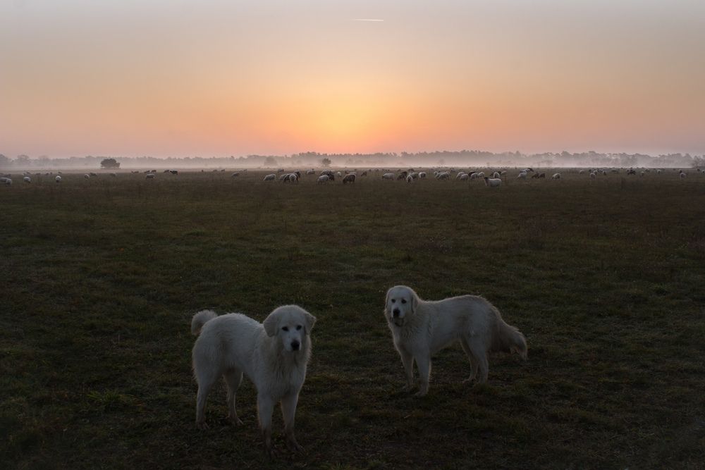 Photograph by Susann Z.