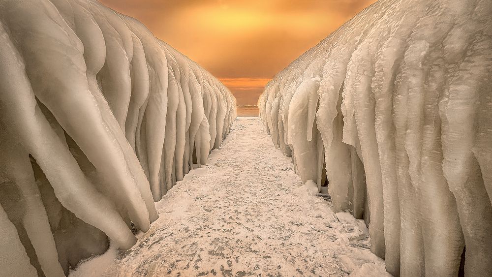 Фотография автора Андрей Гринев