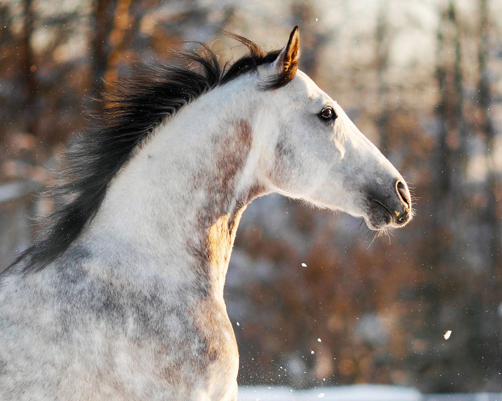 Photograph by Helena