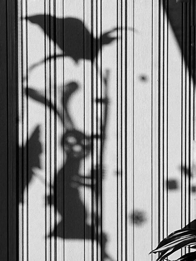 Photograph by Ирина Семенович