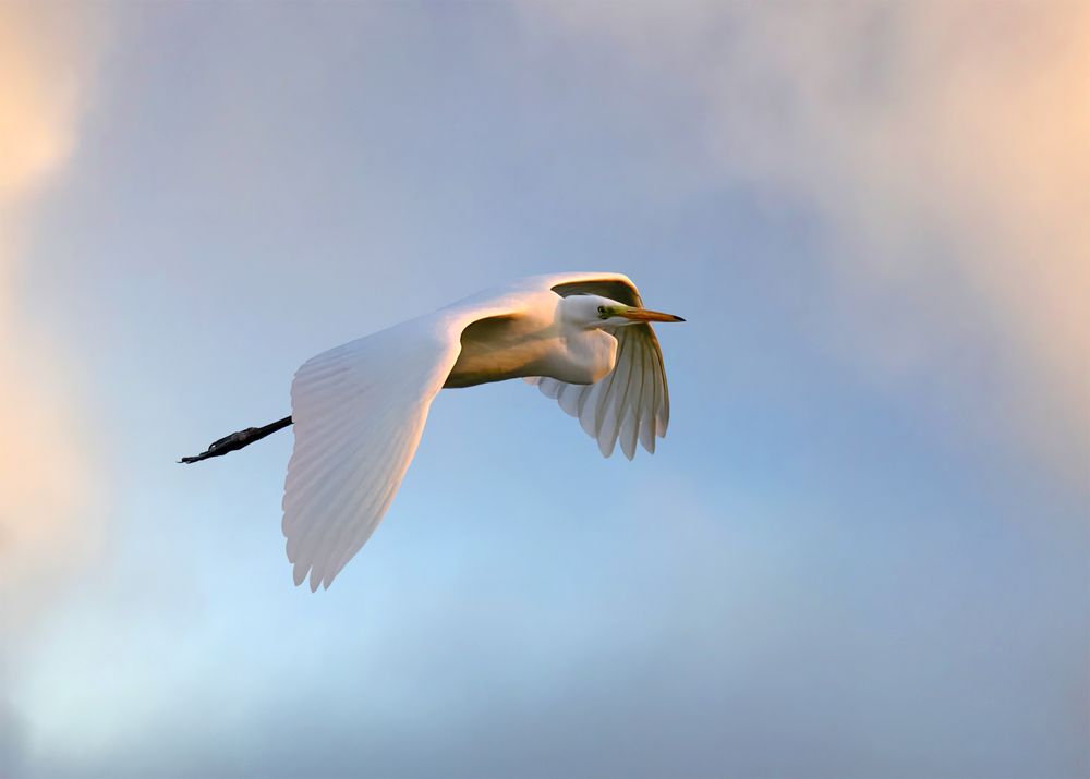 Photograph by Геннадий Суслов