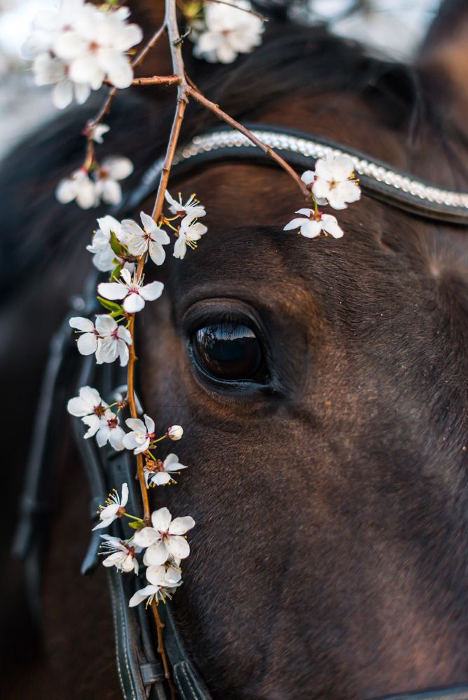 Photograph by Kristina Nutautiene