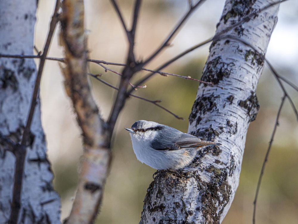 Photograph by Надежда Михайлина