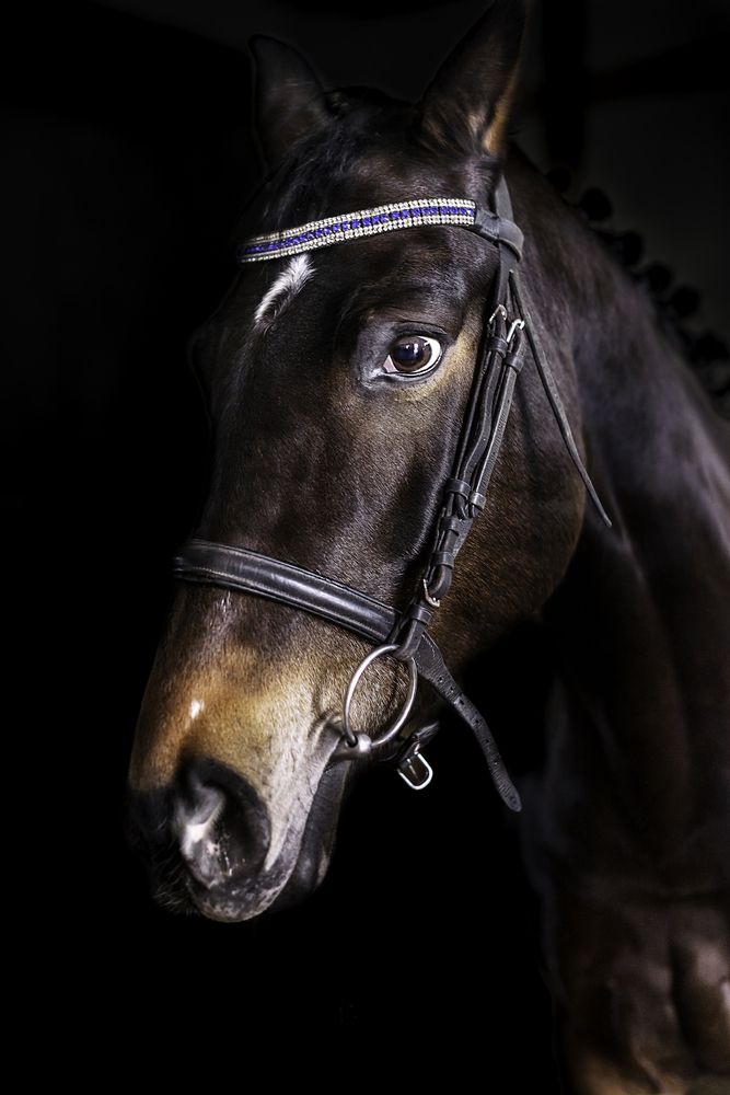 Photograph by Kristina Nutautiene