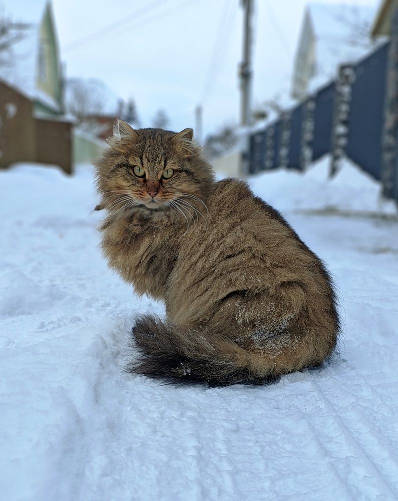 Photograph by Павел