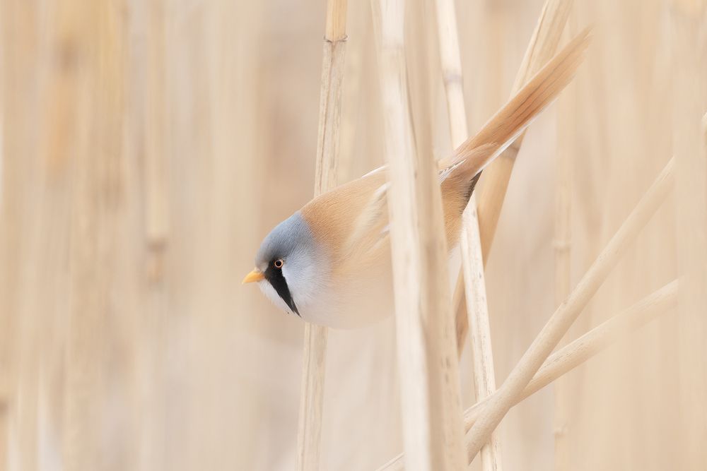 Photograph by Анатолий Садовский