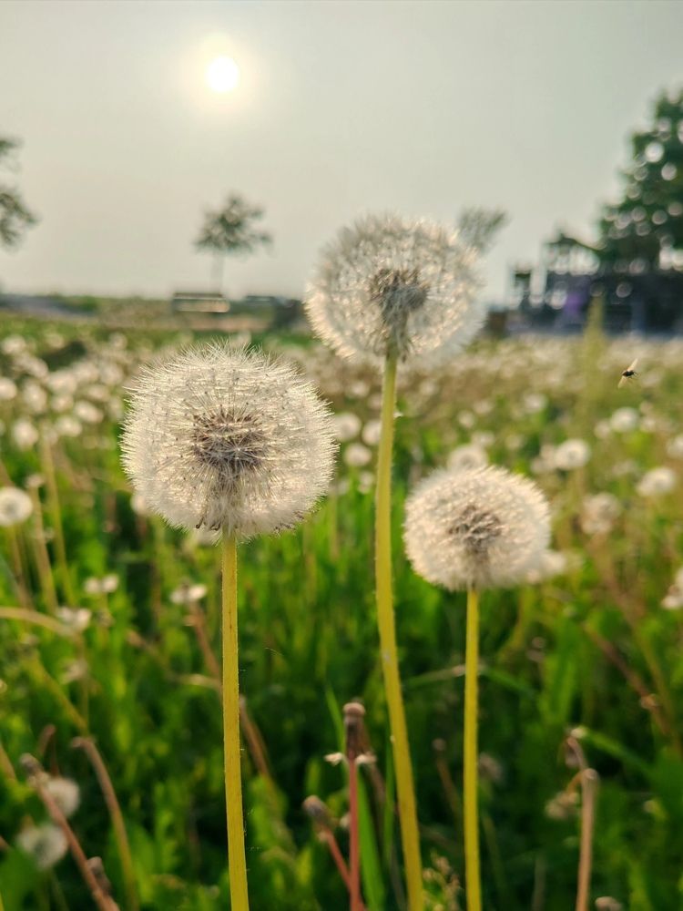 Photograph by Альбина Майкова