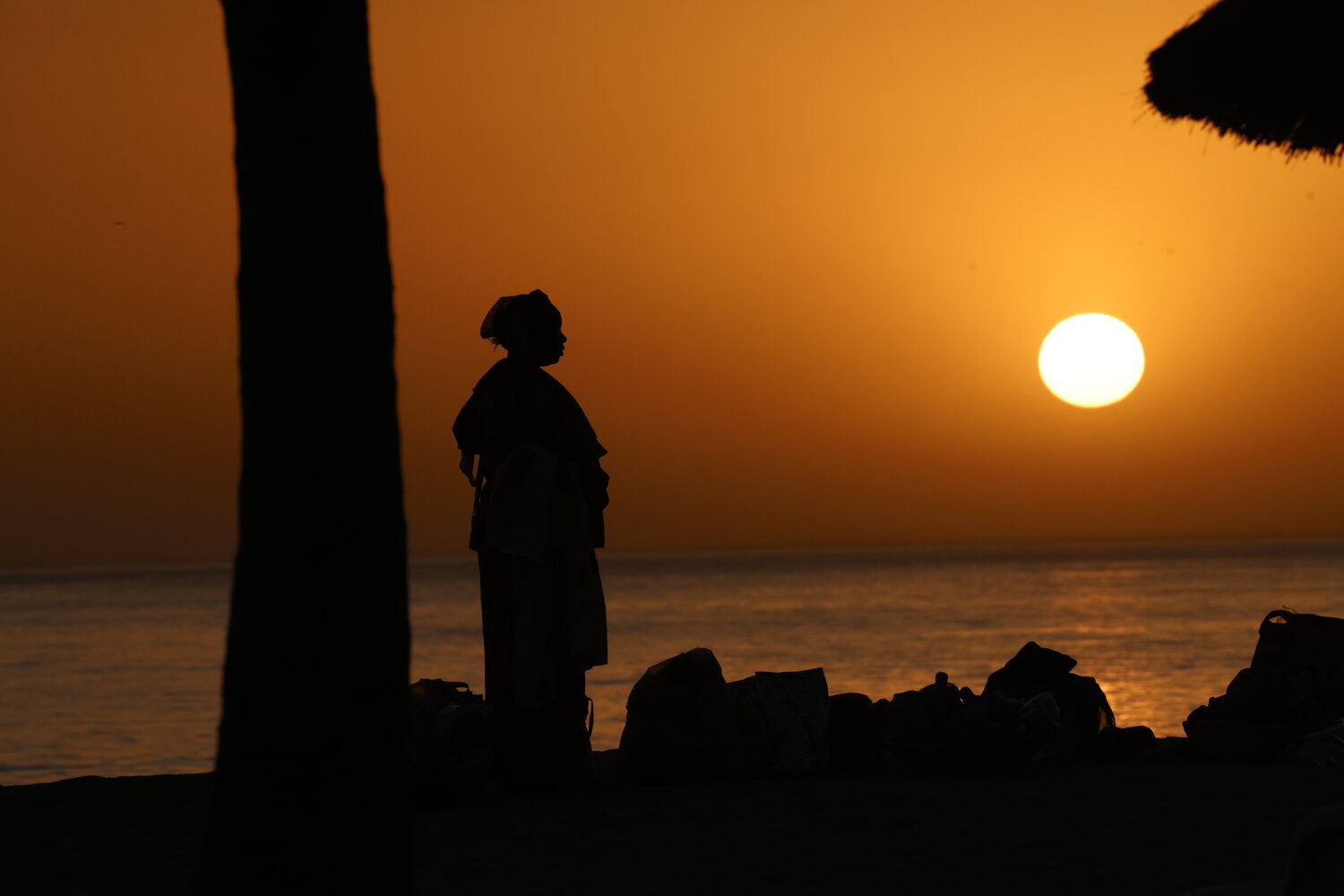 Photo #13116932