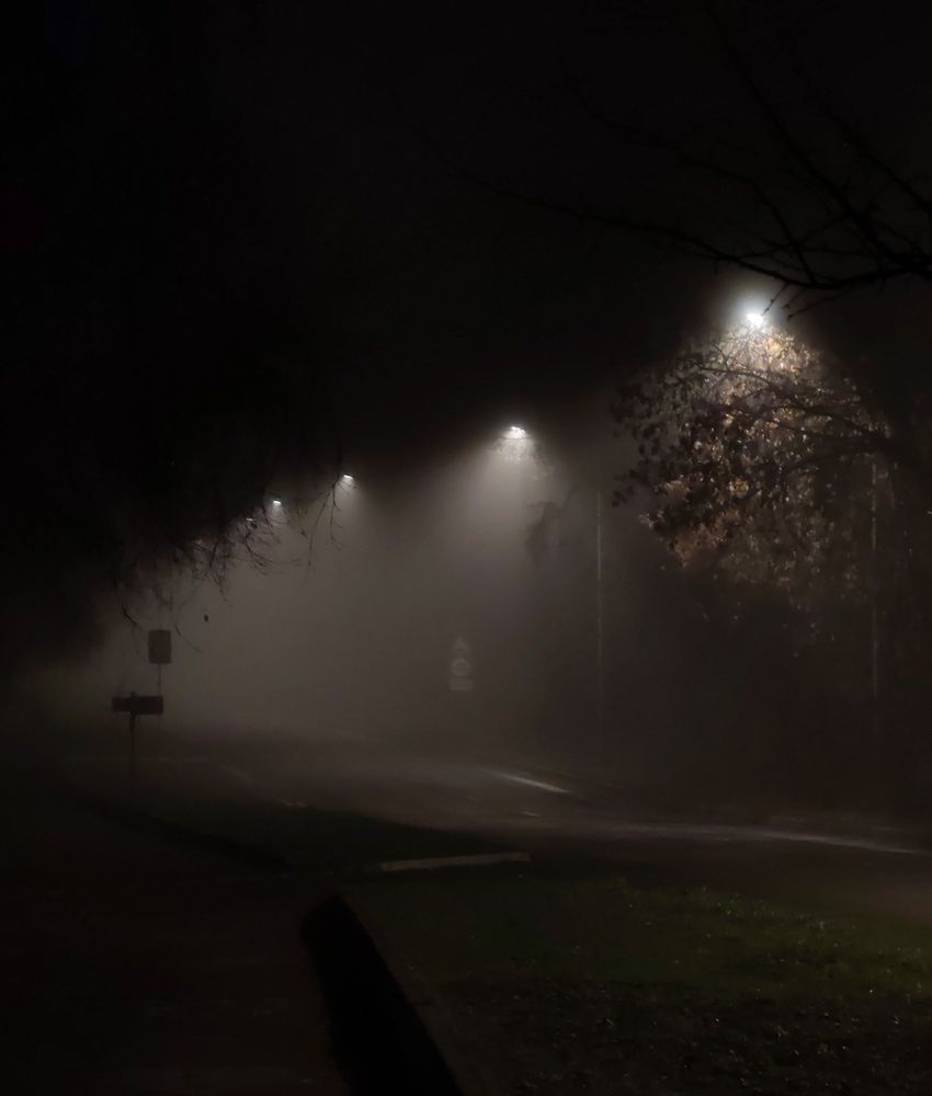 Photograph by ТАТЬЯНА ПАНОВА