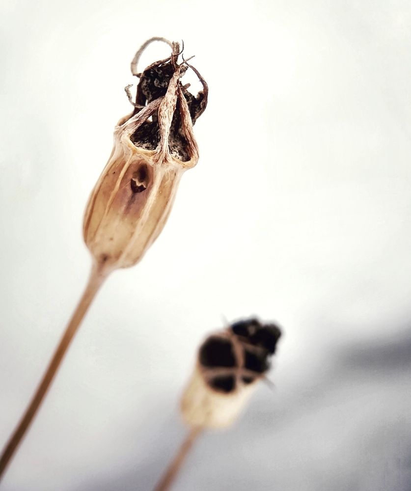 Фотография автора Оксана Лоншакова