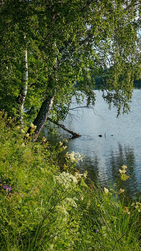 Photograph by ТАТЬЯНА ПАНОВА