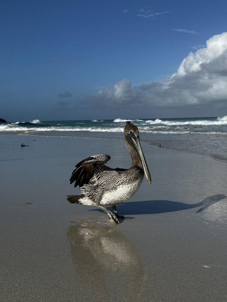 Photograph by Svetlana Rashidova