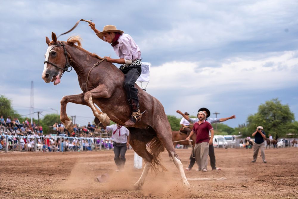 Фотография автора KEVIN ROLAISER