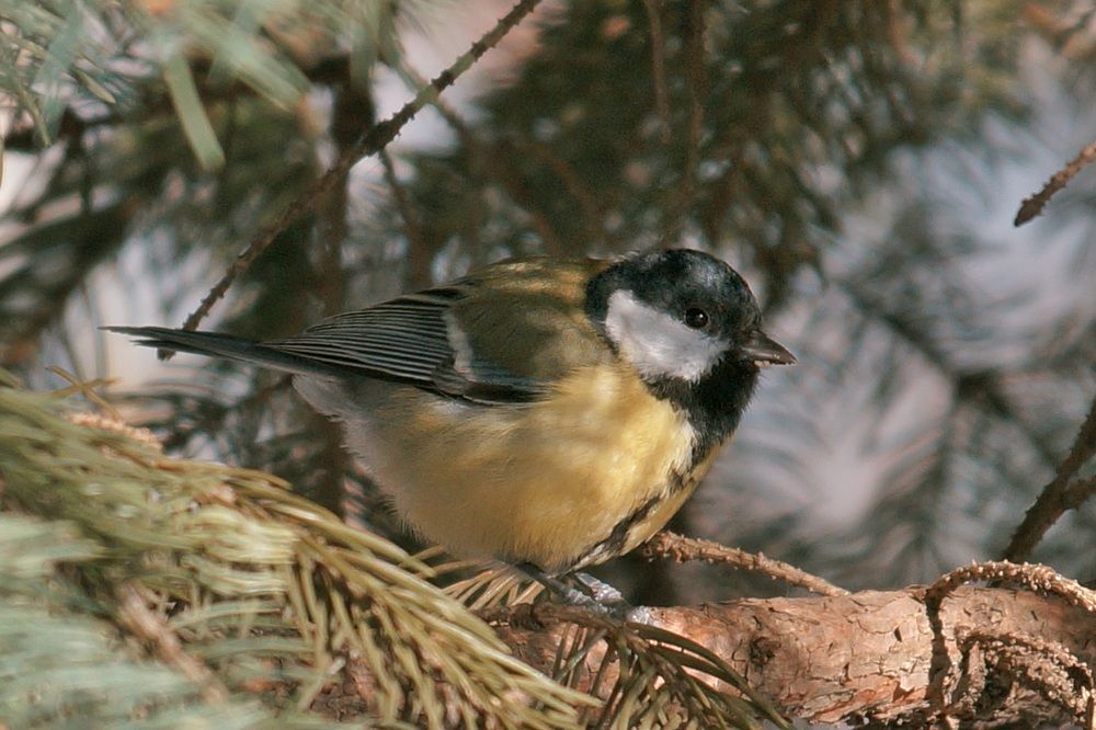 Фотография автора Margarita Teterkina