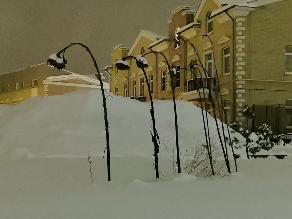 Photo #13117136