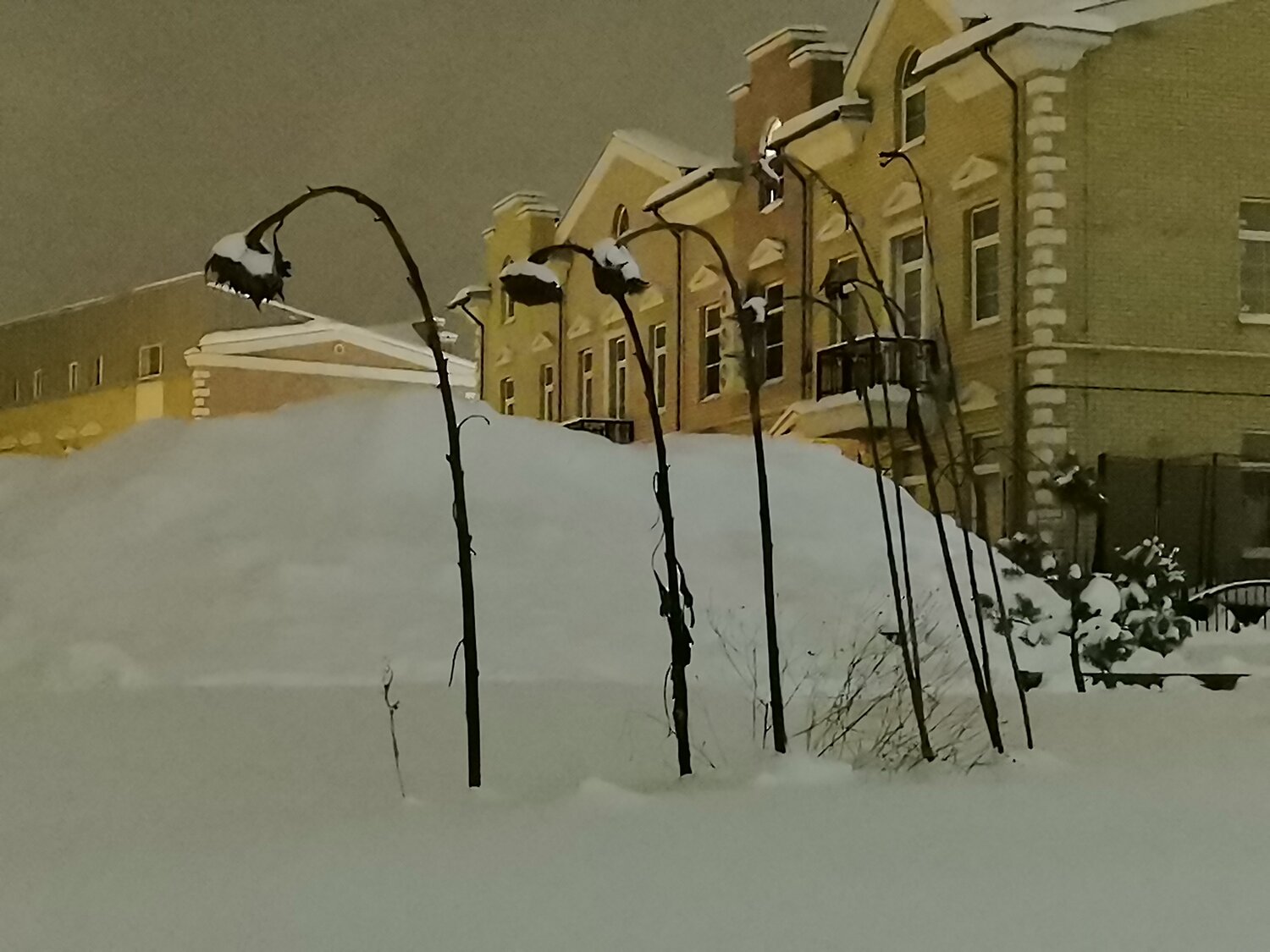 Photo #13117136