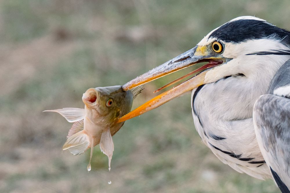 Photograph by Nikolay Slutskiy