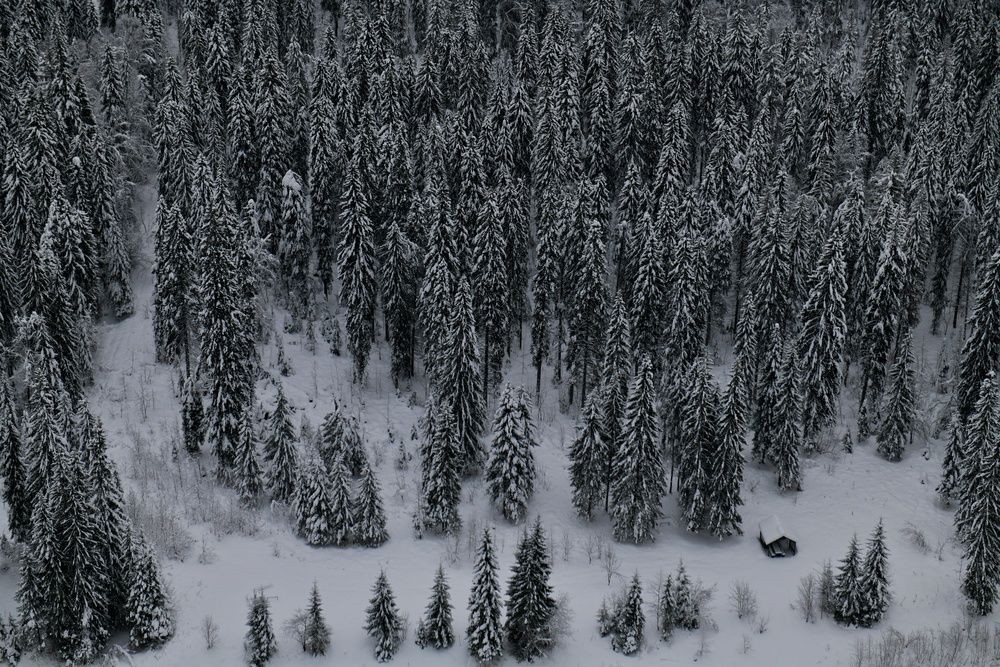 Photograph by Margareth Tikhonova