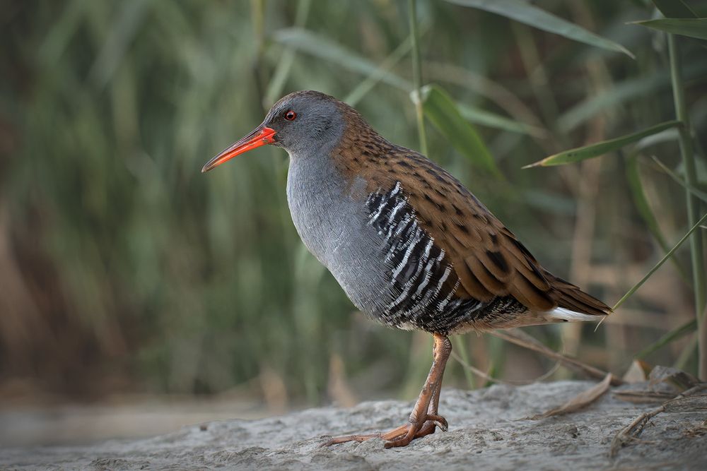 Photograph by Анатолий Садовский