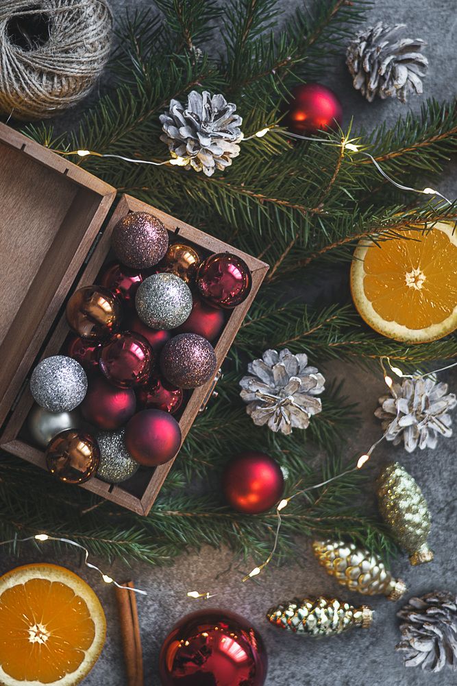 Фотография автора Tóth Beáta