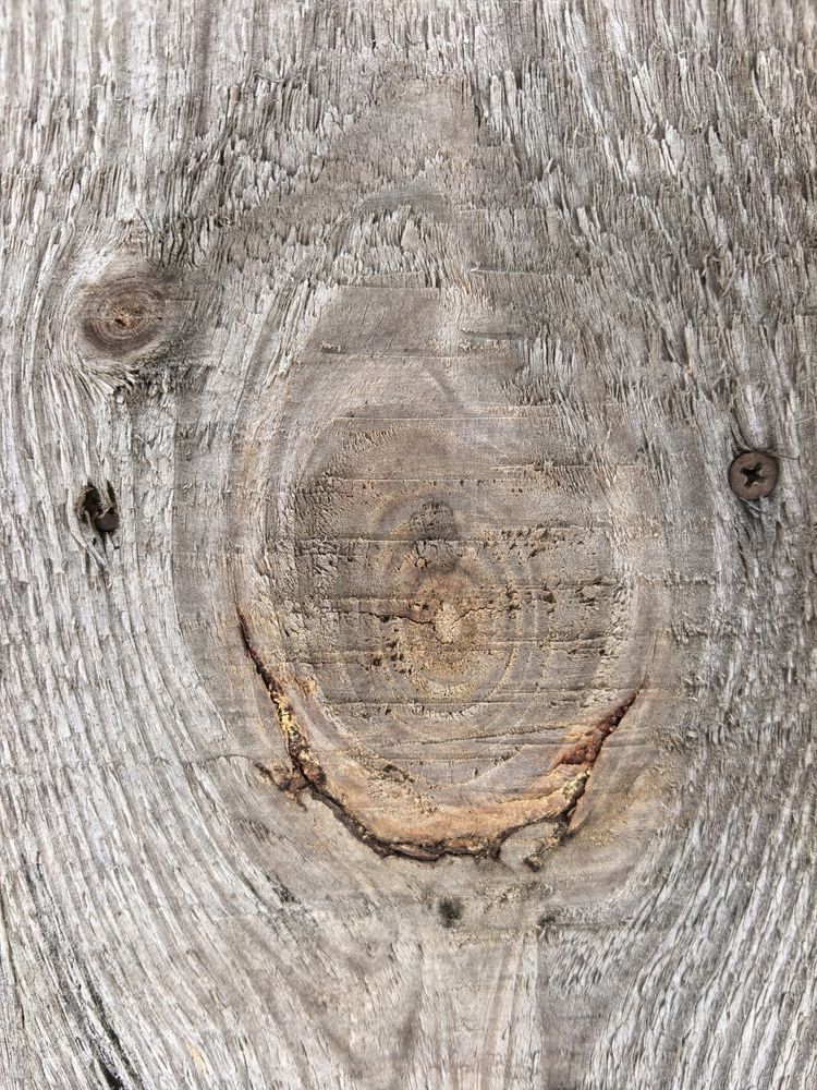 Фотография автора Елена Охапкина