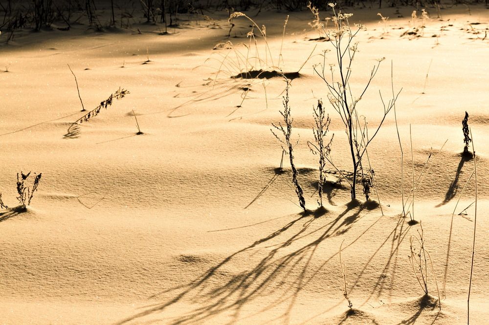 Photograph by Артём Евтюхов