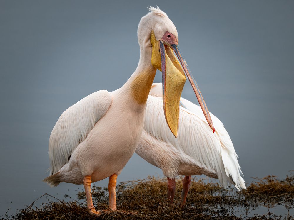 Photograph by Nikolay Slutskiy