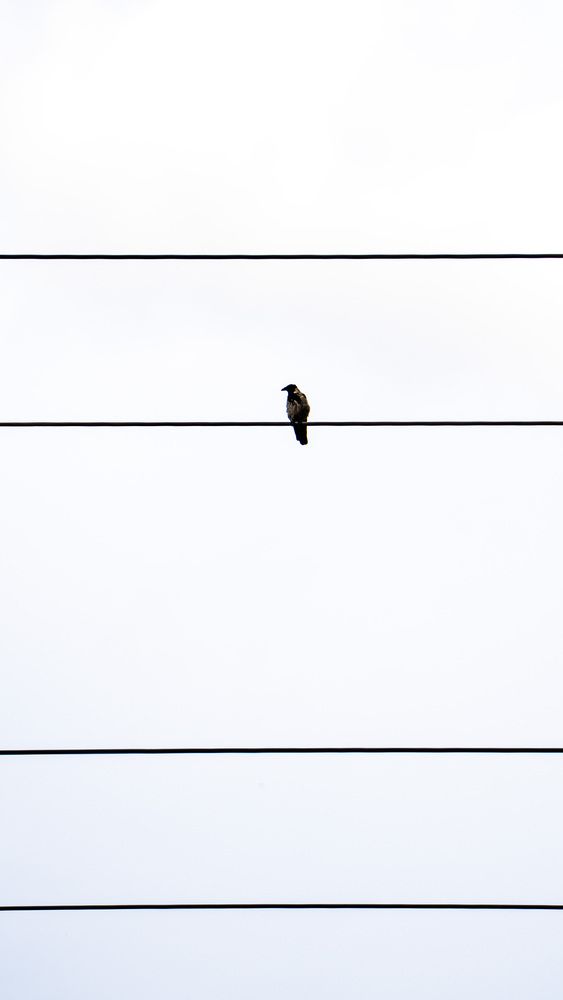 Photograph by Александр Соловьев