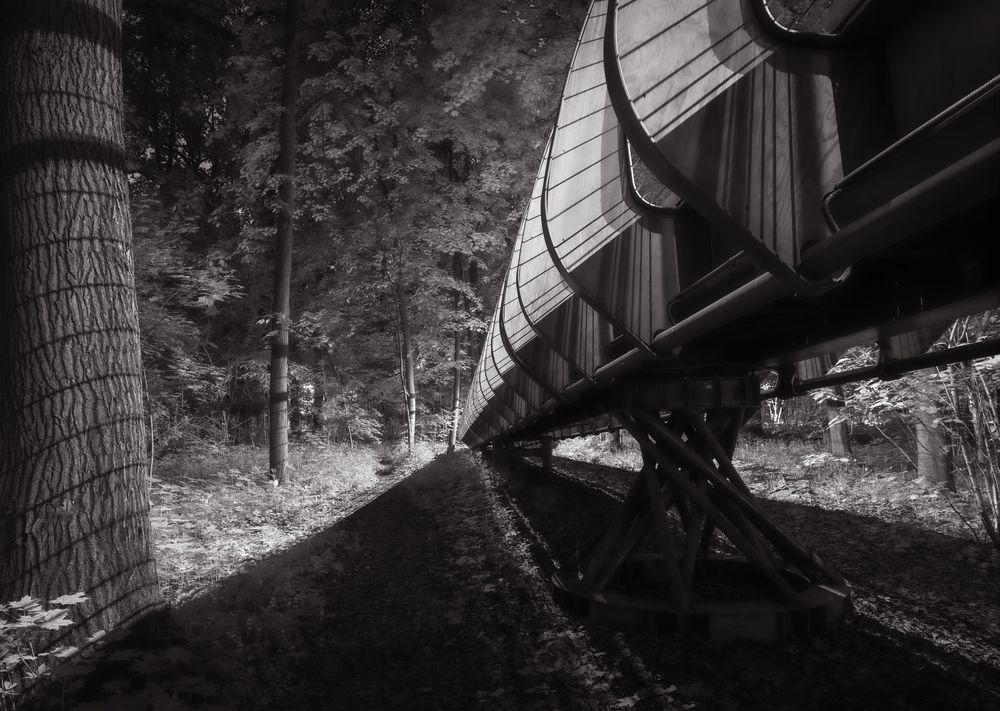 Photograph by Дмитрий