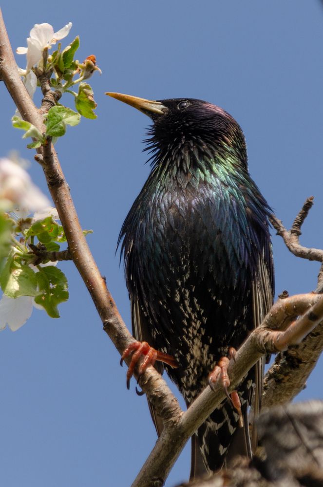 Photograph by Ольга Салтыкова