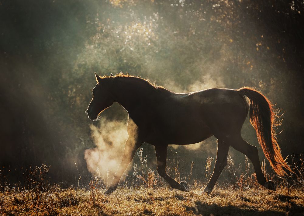 Photograph by Gubina Anastasia