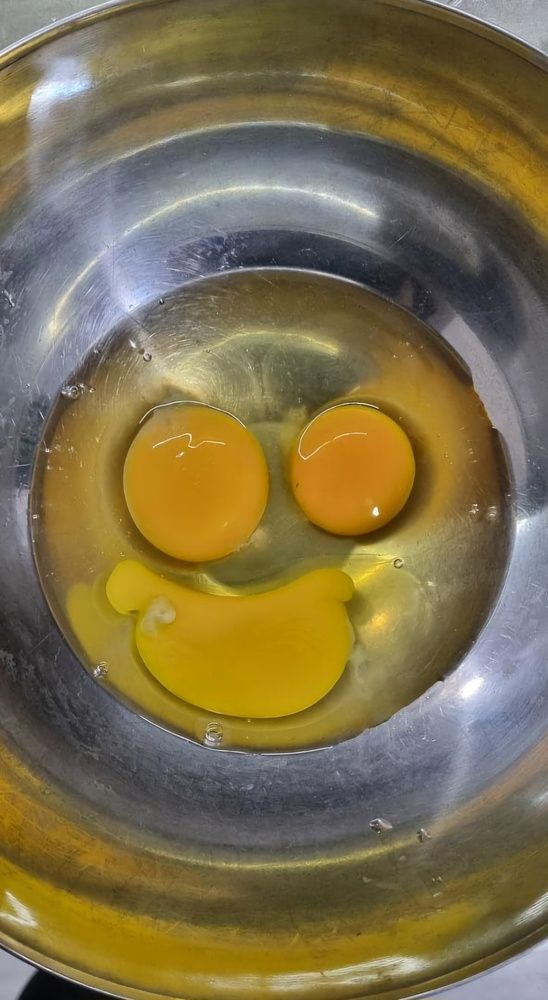 Фотография автора Светлана Рыжих