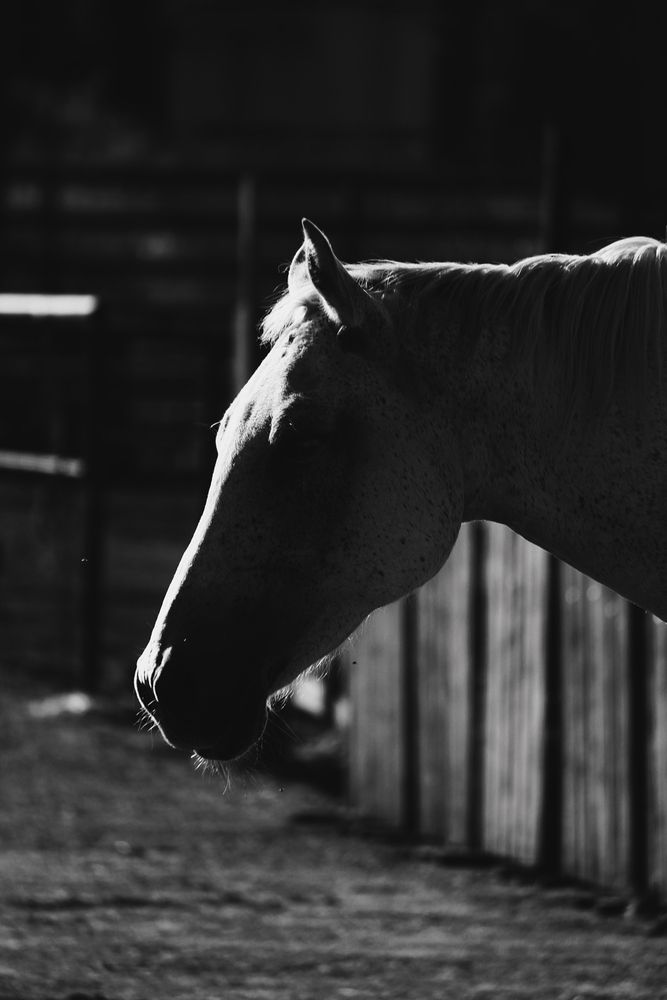 Фотография автора Яна Андреева