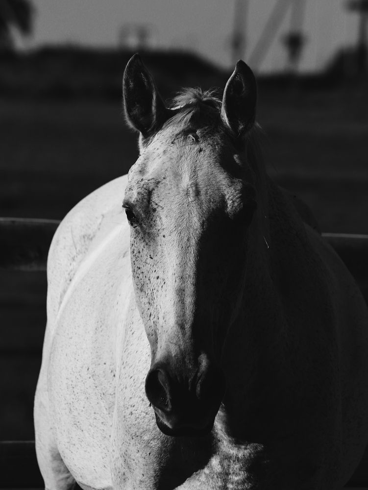 Фотография автора Яна Андреева
