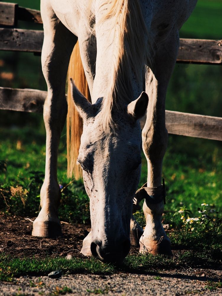 Фотография автора Яна Андреева