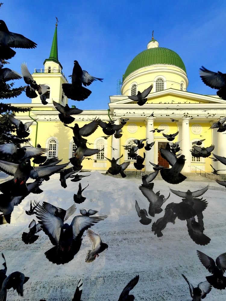 Взмах крыльев.