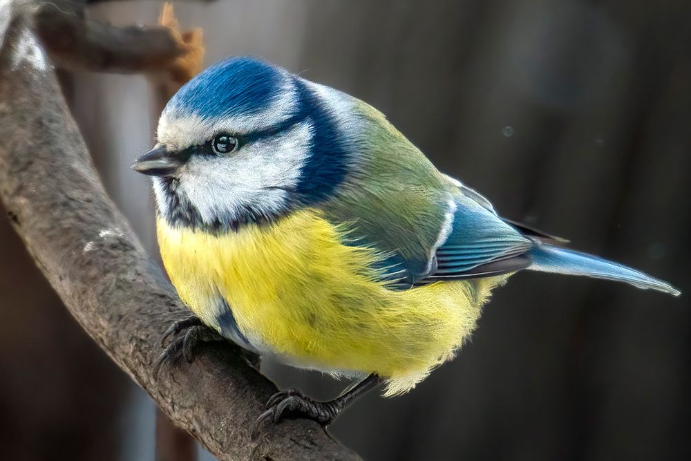 Photograph by Aleksandr Solovev