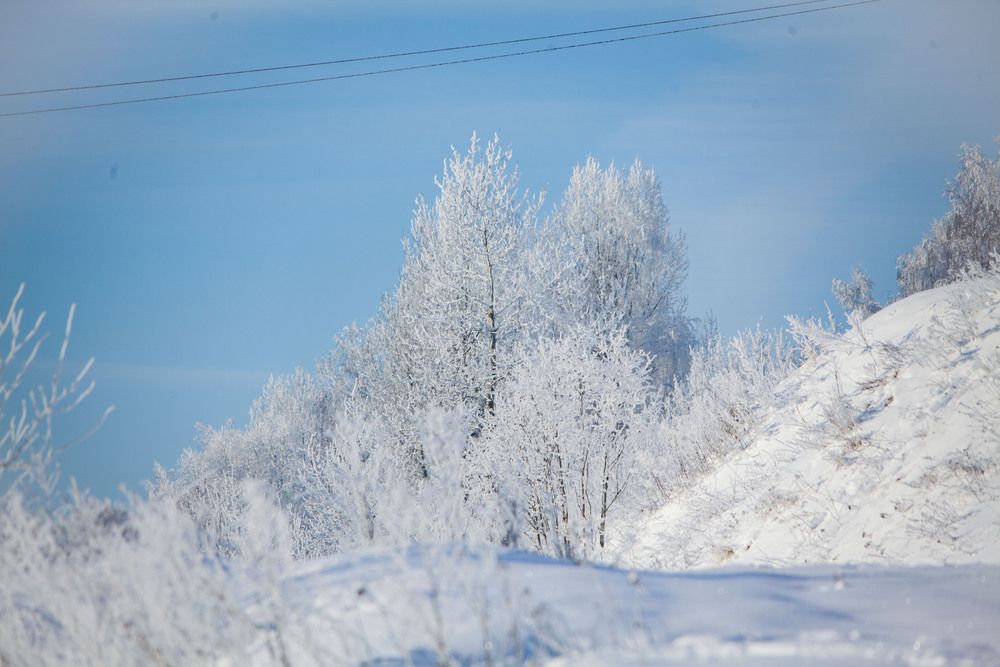 Photograph by Алексей Борисов
