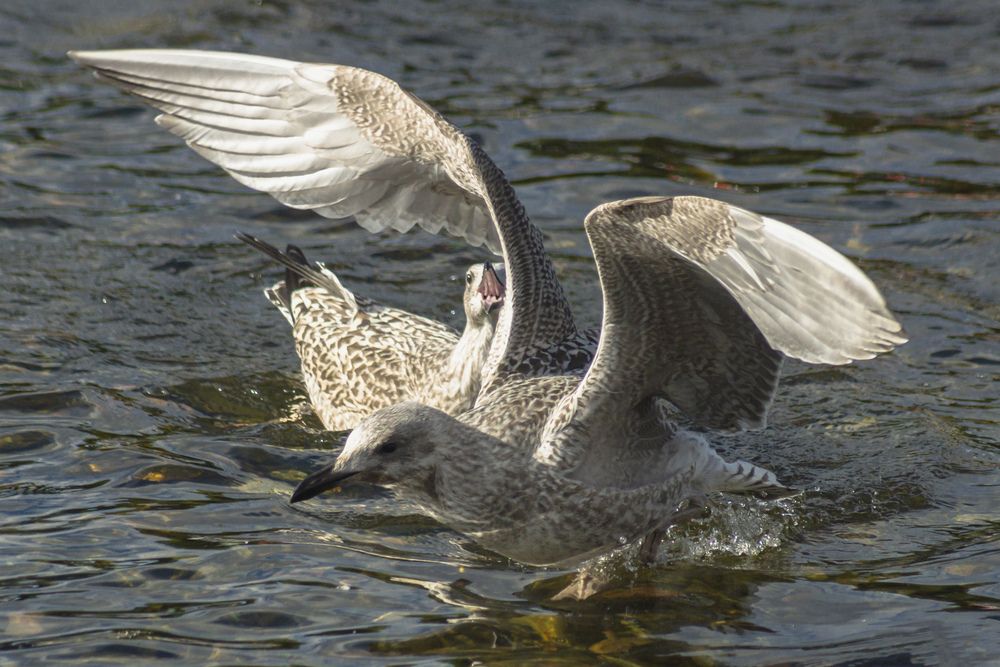 Photograph by Екатерина Бахтинова
