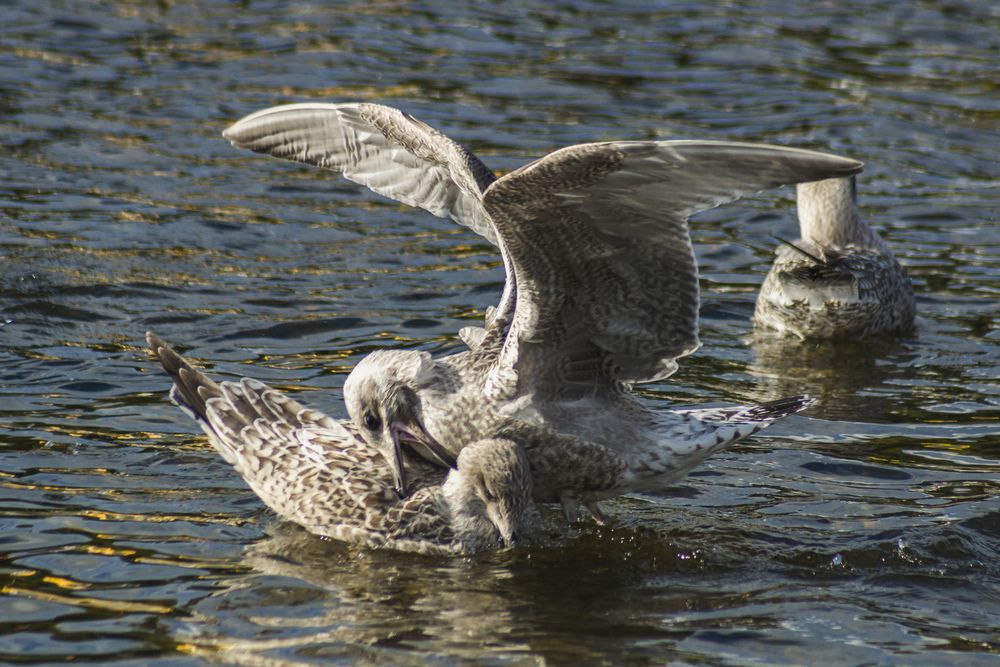 Photograph by Екатерина Бахтинова