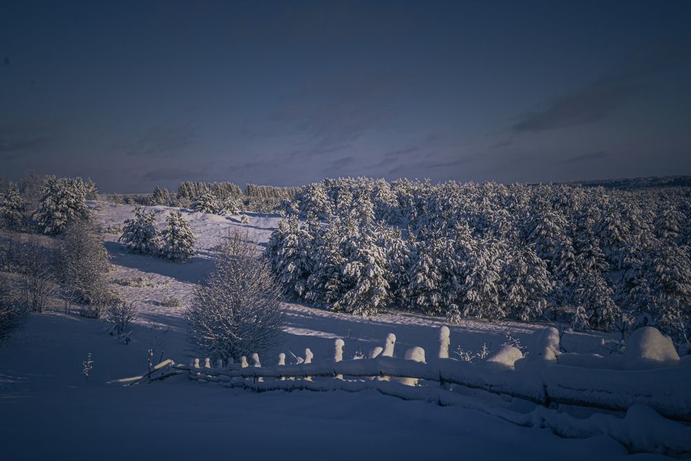 Фотография автора Настя Салтыкова