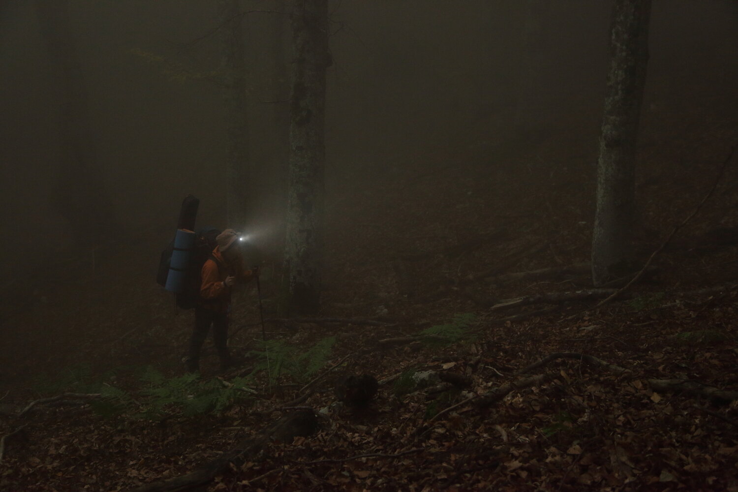 Photo #13117553