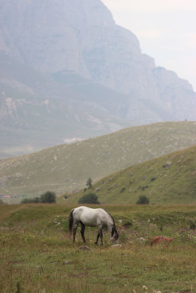 Photograph by Anastasia Kodatenko